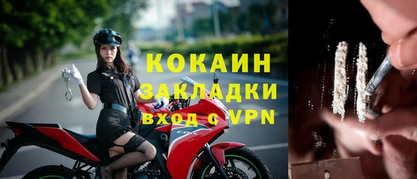 мдпв Осташков