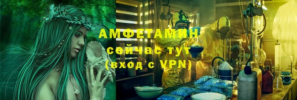 мдпв Осташков
