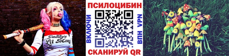 Галлюциногенные грибы Psilocybe Рославль