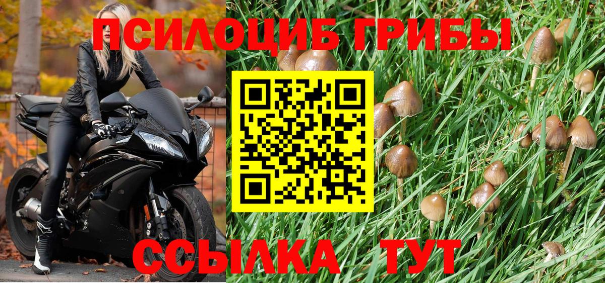 Галлюциногенные грибы Magic Shrooms Рославль